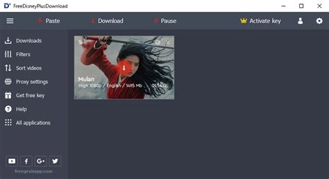 Pazu DisneyPlus Video Downloader