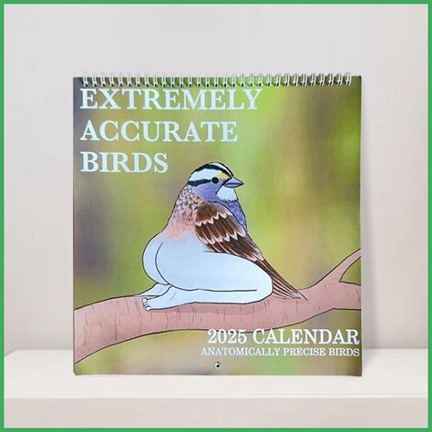 Funny Birds 2025